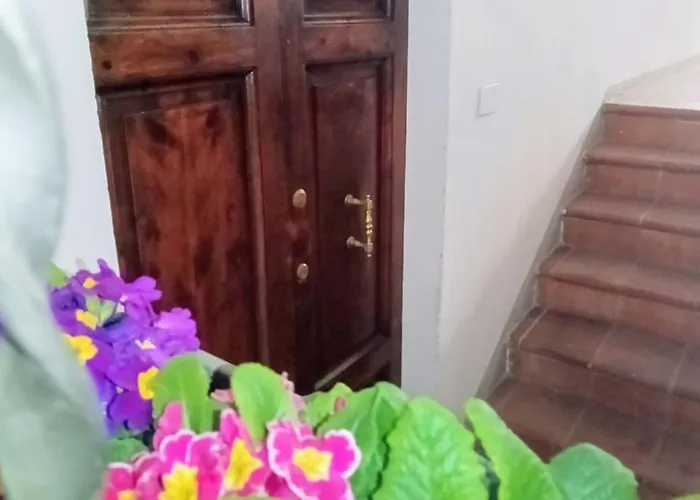 Daire Snuggly Blue *