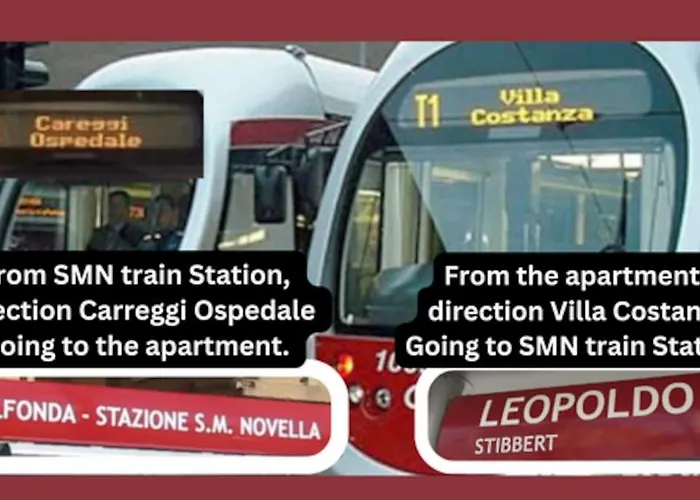 Daire Snuggly Blue Floransa